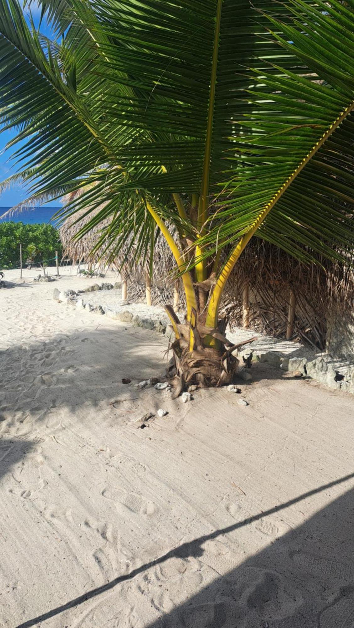Mahana Tua Lodge Huahine Fare Exterior photo