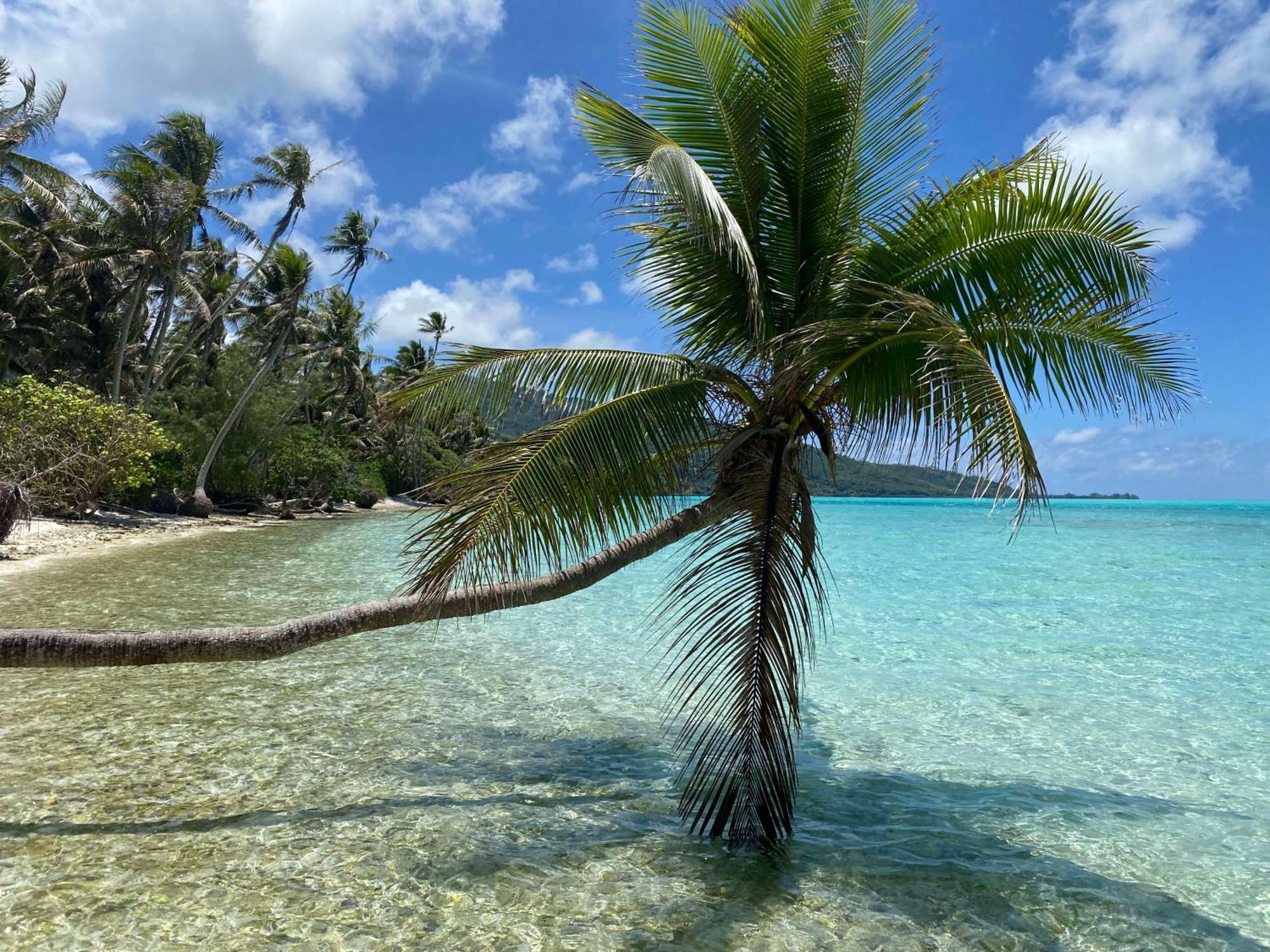 Mahana Tua Lodge Huahine Fare Exterior photo